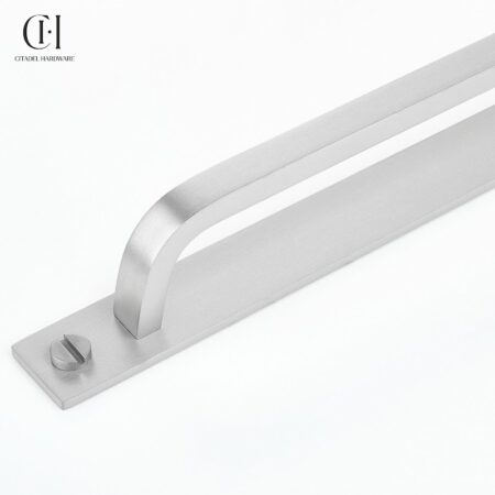 Aurel Curve Backplate Silver by Citadel Hardware