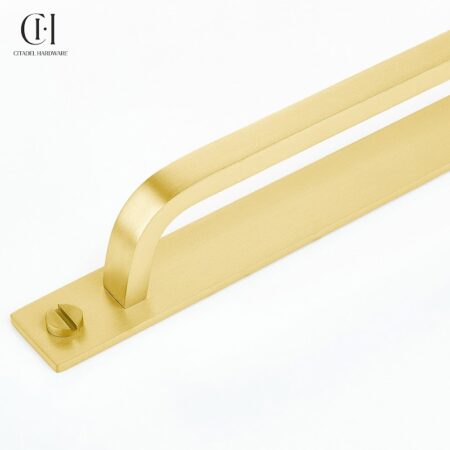 Aurel Curve Backplate Gold by Citadel Hardware