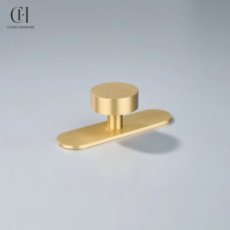 Rond Round Backplate Gold by Citadel Hardware